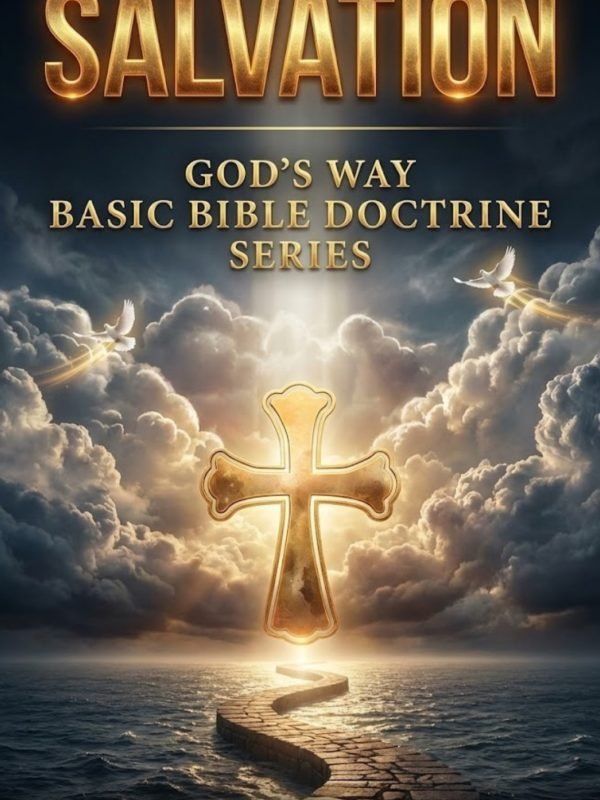 e18d7d14-706a-469b-a45b-523b3b916d3d